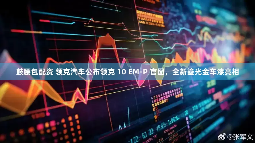鼓腰包配资 领克汽车公布领克 10 EM-P 官图，全新鎏光金车漆亮相