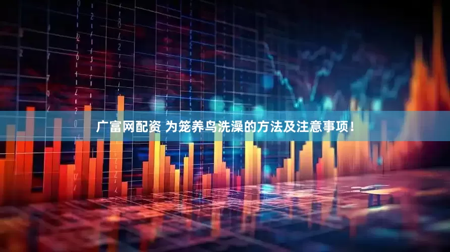 广富网配资 为笼养鸟洗澡的方法及注意事项！