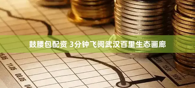 鼓腰包配资 3分钟飞阅武汉百里生态画廊