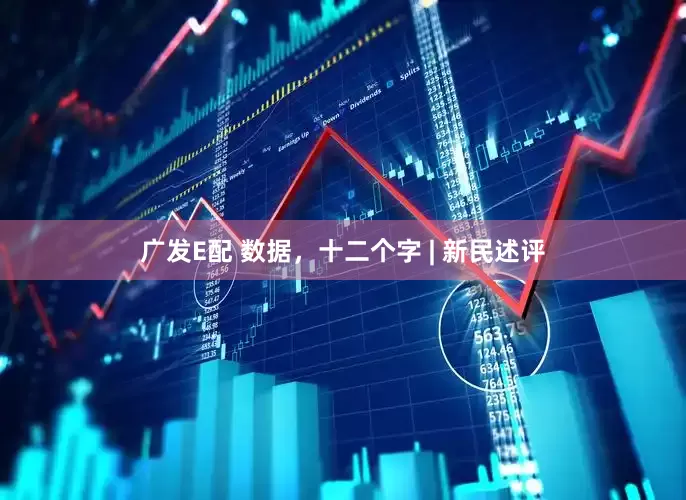 广发E配 数据，十二个字 | 新民述评